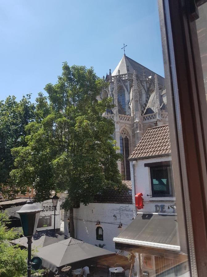 Al In Den Aap Gelogeerd? Διαμέρισμα Μεσελέν Εξωτερικό φωτογραφία